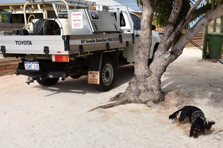 Central Fumigation & Pest Management Services in Utakarra