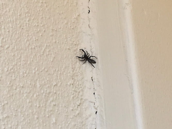 Certified Home Inspections in Edens Landing