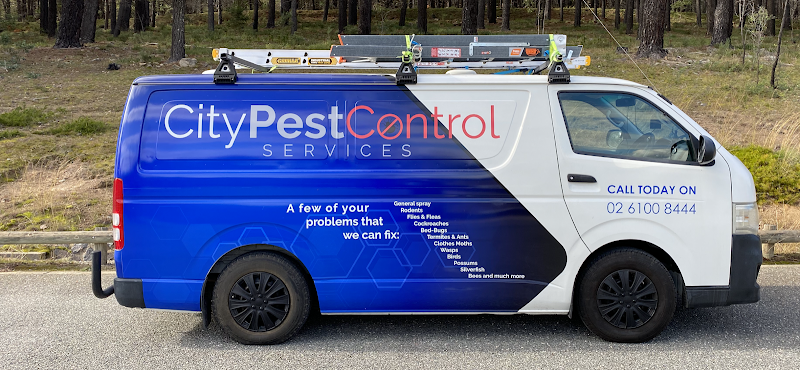City Pest Control Services Canberra in Canberra