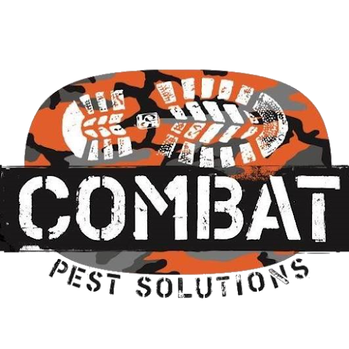Combat Pest Solutions Brisbane in Brisbane