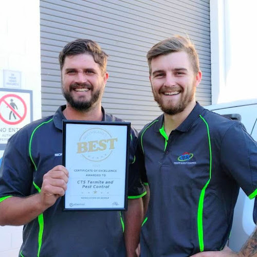 Complete Termite Solutions in Molendinar