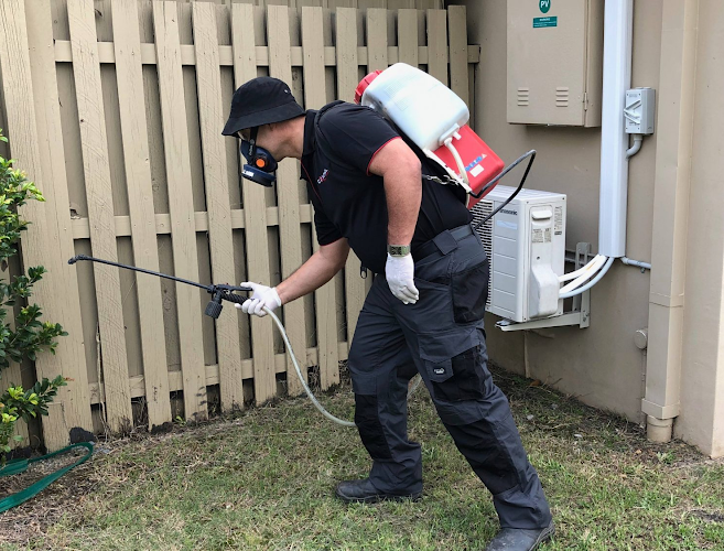 Control Pest Management Gold Coast in Nerang