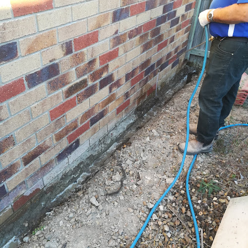 Creative Pest Management in Runaway Bay