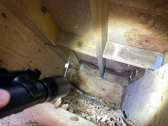 CTP Pest & Building Inspections in Kurri Kurri