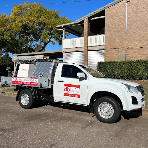 DB Pest Management in Strathpine