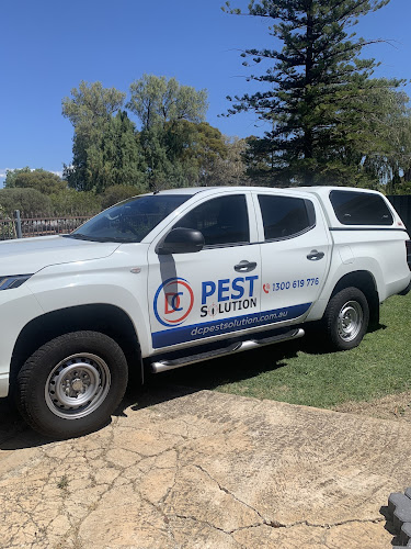 DC Pest Control in Adelaide