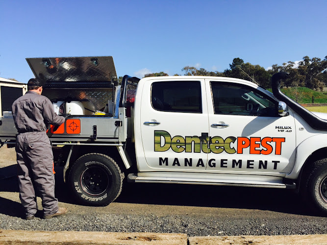 Dentec Pest Management in Dubbo