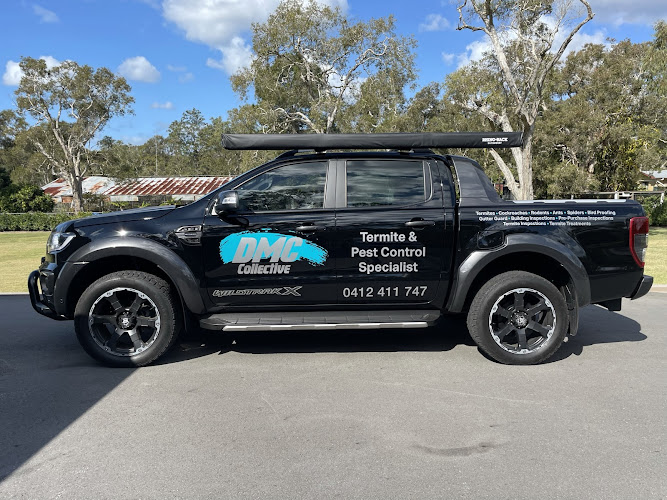 DMC Termite and Pest Control in Brisbane