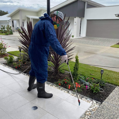 Dr. Pesty pest control solutions in Eagleby