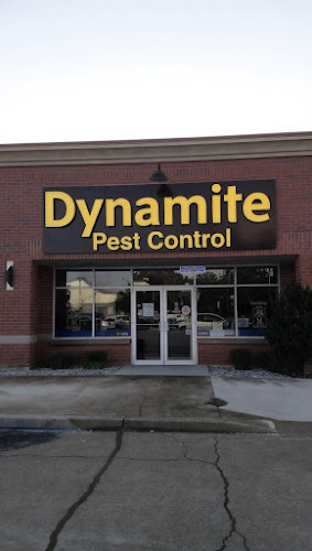 Dynamite Pest Control in Glossodia
