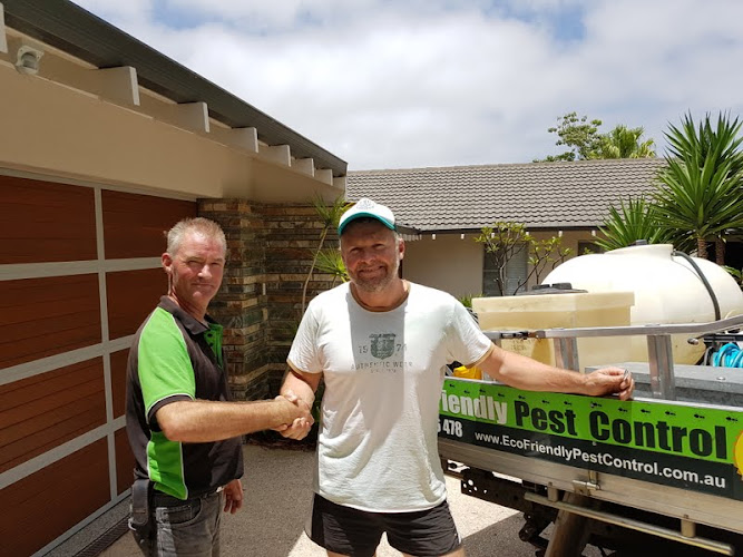 Eagle Termite Treatment Herne Hill in Herne Hill