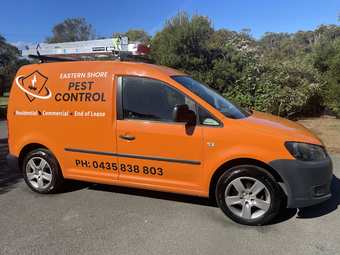 Eastern Shore Pest Control in Acton Park