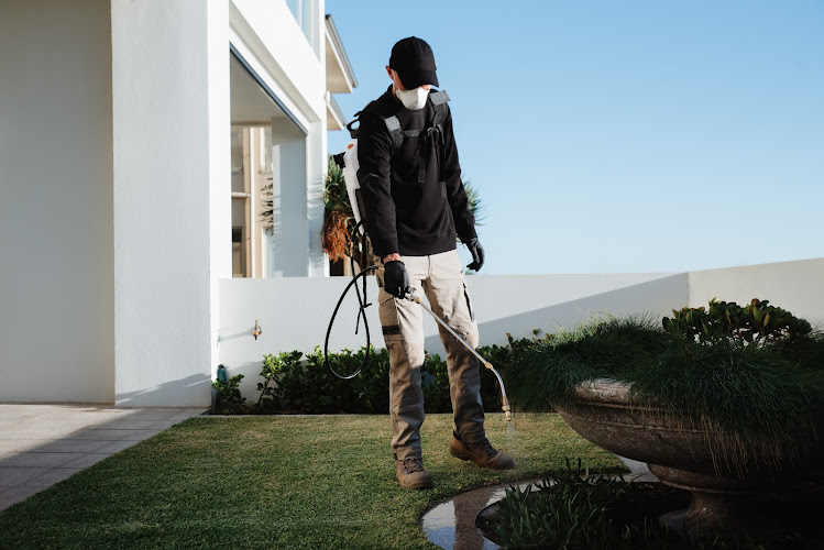 Echidna Termite and Pest Solutions in Adelaide