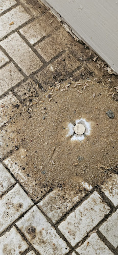 Ecofriendly Pest Control in Perth