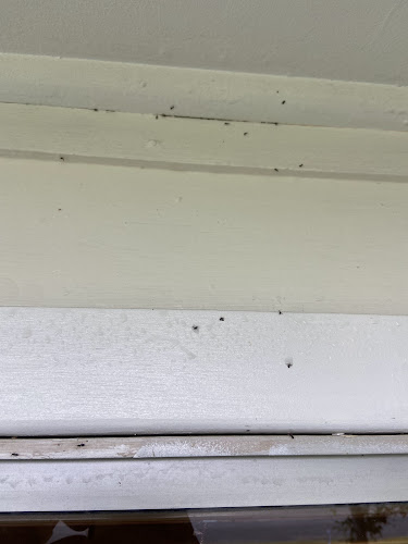 EcoGuard Pest Management in Kurri Kurri