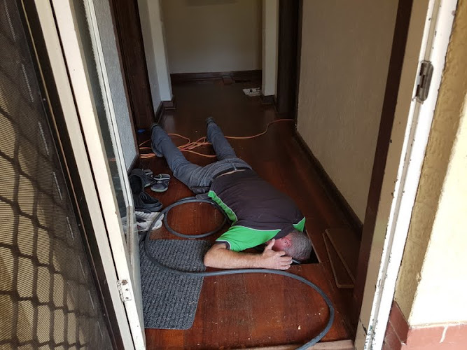 Edge Termite Treatment Midvale in Midvale