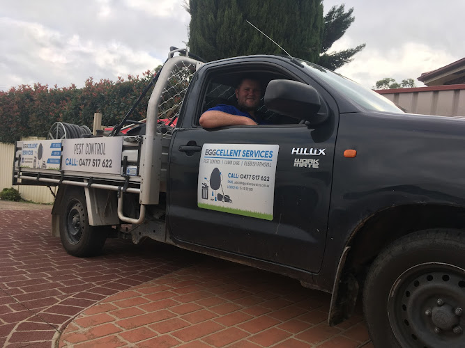 Eggcellent Services Pty Ltd- Pest Control Western Sydney in Colyton