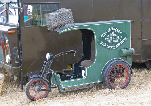 Eliminator Pest Control in Swansea