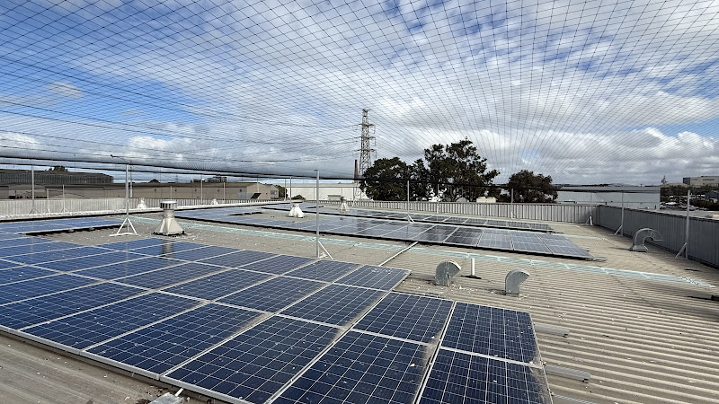 Elite Bird Australia in Melbourne