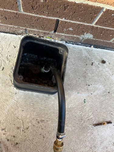 Emergency Pest Controller Geelong in Geelong