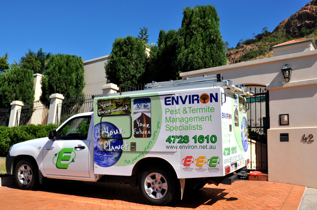 Environ Pest Control in Garbutt