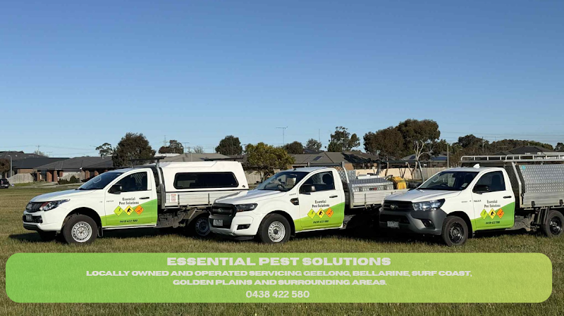 Essential Pest Solutions - Pest Control Geelong in Breakwater