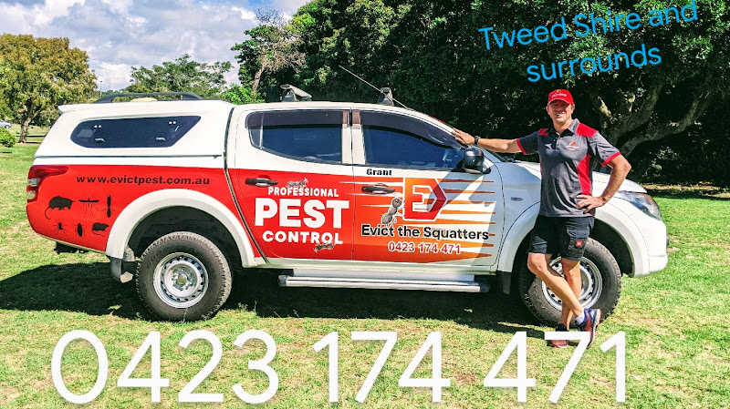 Evict the Squatters - Professional Pest Control in Terranora