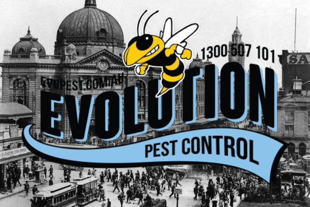 Evolution Pest Control in Sunshine