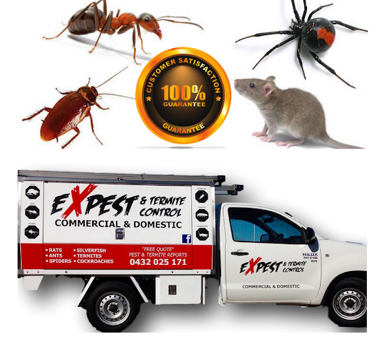 Expest And Termite Control in Mill Park