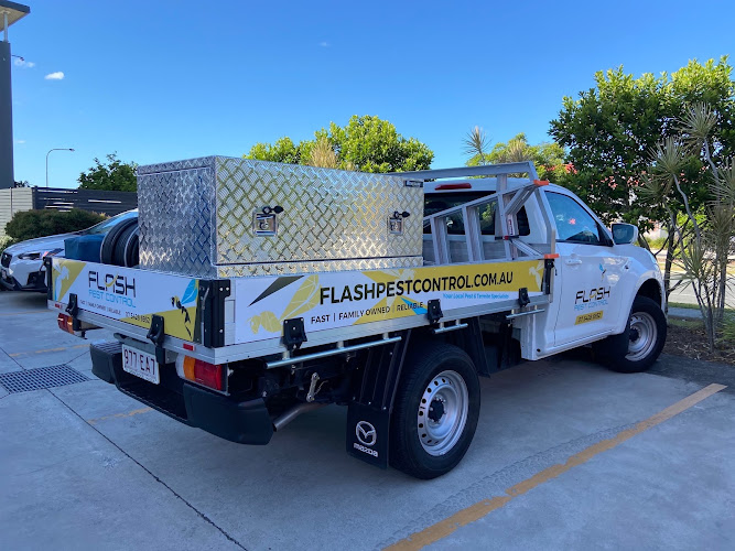 Flash Pest Control in Morayfield
