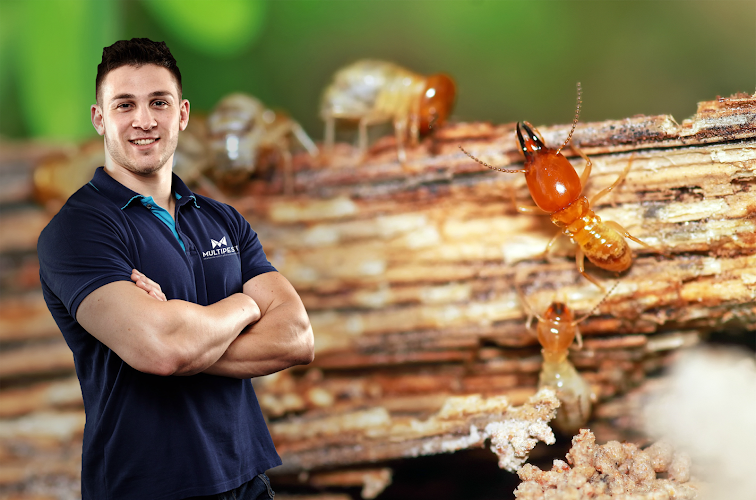 Flick Pest Control Capalaba in Capalaba