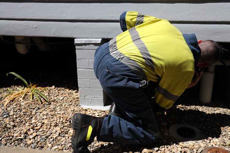 Flick Pest Control Weipa in Rocky Point