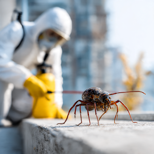 GM Pest Solutions in Cheltenham