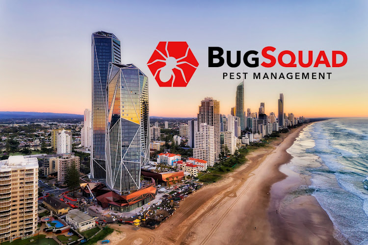 Gold Coast Bug Squad Pest Management in Gold Coast