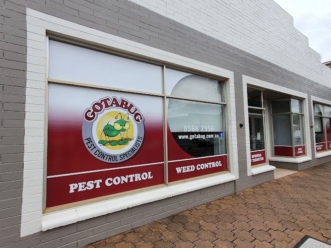 Got A Bug in Kapunda