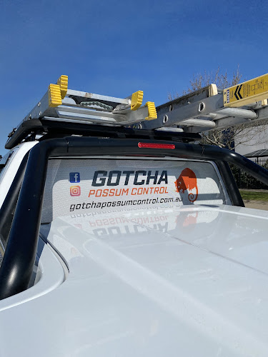 Gotcha Possum Control in Longwarry North