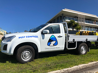 Great Ocean Road Pest Control in Lorne