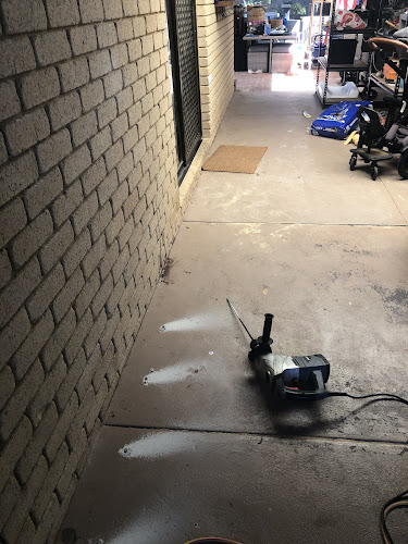 Greedy Gecko - Pest Control in Bunbury