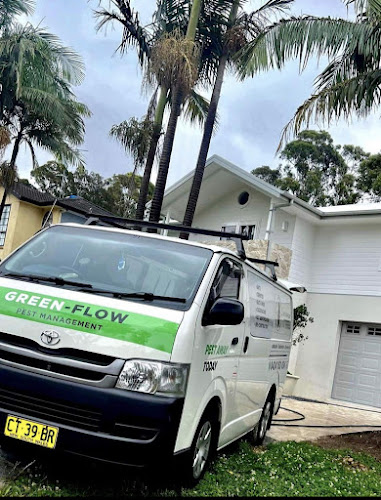 Green Flow Pest Management in Sydney