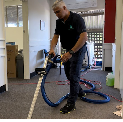 Healthy Homes Carpets & Pest Control in Little Mountain