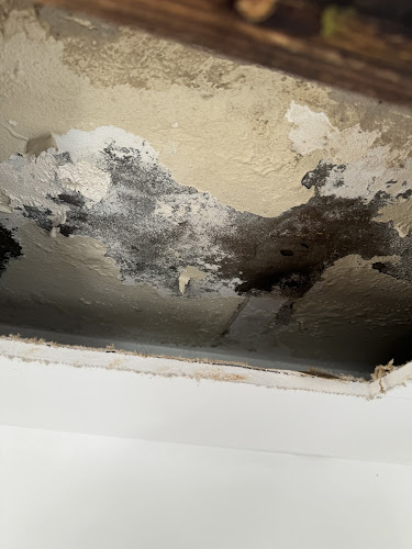 Housefly Building & Pest Inspections in Mermaid Waters