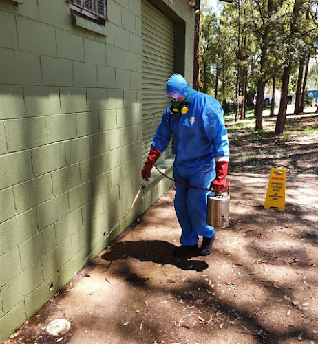 Hysteam Pest Management in Bankstown