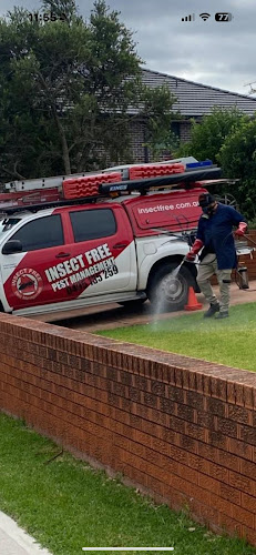 Insect Free Pest Management - Termite & Pest Control in Greystanes