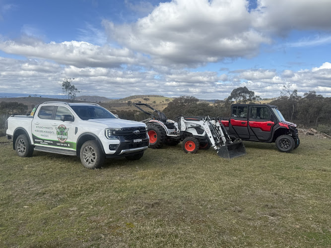 Insectagone in Orange