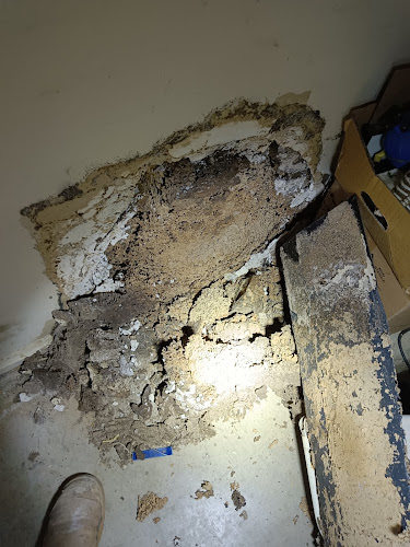 Ipswich City Pest And Termite Control in Booval