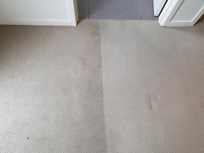 Ivey's Carpet Cleaning and Pest Control in Tinana