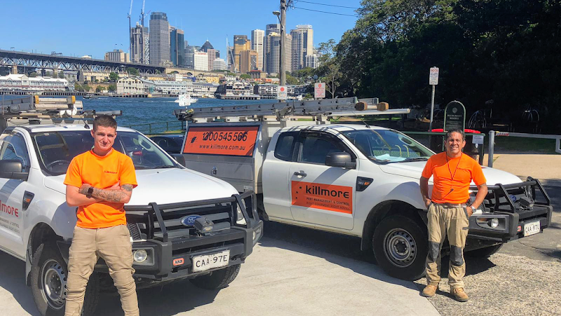 Killmore Pest Control Services Sydney in Surry Hills