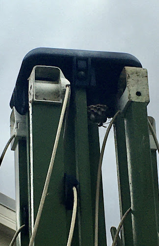 Knock Out Pest & Termite Control Illawarra Wollongong in Wollongong