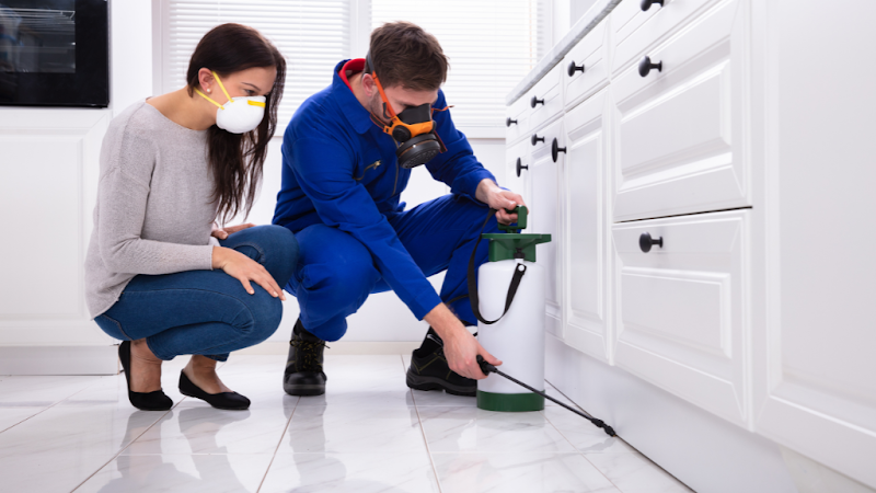 Kog Pest Control in Kogarah