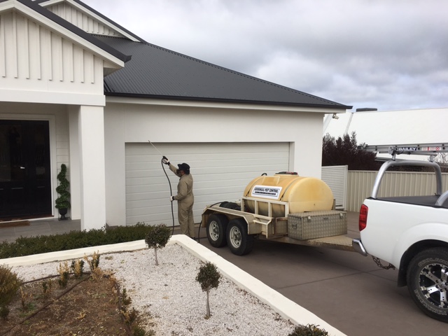 Kooringal Pest Control in Lake Albert